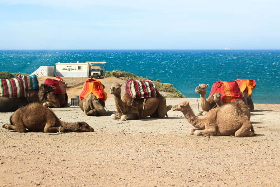 From Tangier: Full-Day Tangier, Asilah, & Cape Spartel Tour - Asilah Old Medina: ramparts, crafts, and an easier place to walk