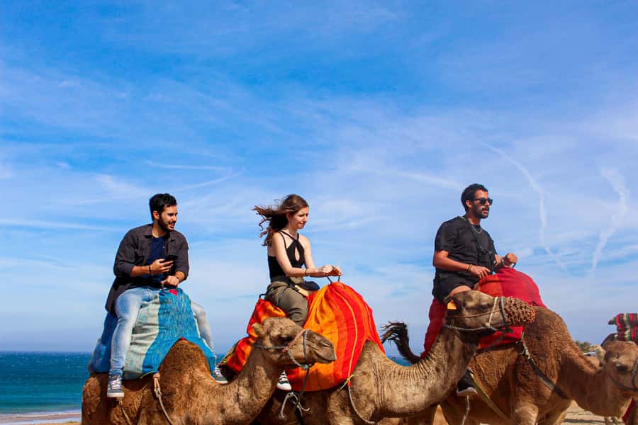 From Tangier: Full-Day Tangier, Asilah, & Cape Spartel Tour - Price and logistics: what $65 really buys you