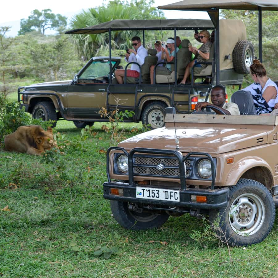 From Zanzibar: Day Selous Game Reserve Safari with Flights - Morning game drive: spotting Big Five energy (without guarantees)
