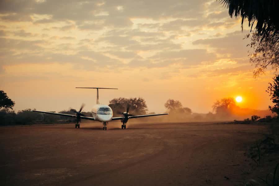 From Zanzibar: Day Selous Game Reserve Safari with Flights - The 10:00 coffee/tea break: when the day resets