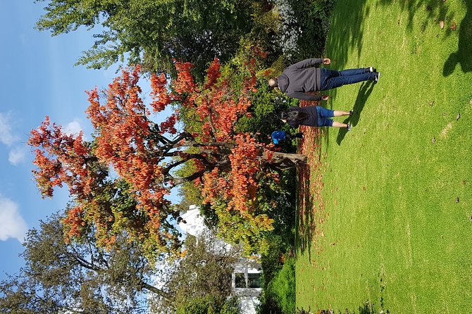 Full Day Afrivista Wine Tours from Stellenbosch - Price Value: What $79.08 Includes (and Why That Matters)