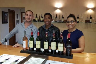 Full Day Afrivista Wine Tours from Stellenbosch - Pickup at 9:30 and How the Van Time Fits the Day