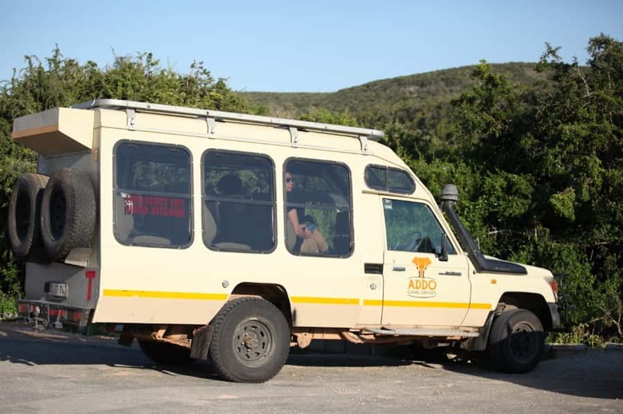 Full-Day All Inclusive Safari with Traditional Braai Lunch - Addo Elephant National Park in one long, rewarding day