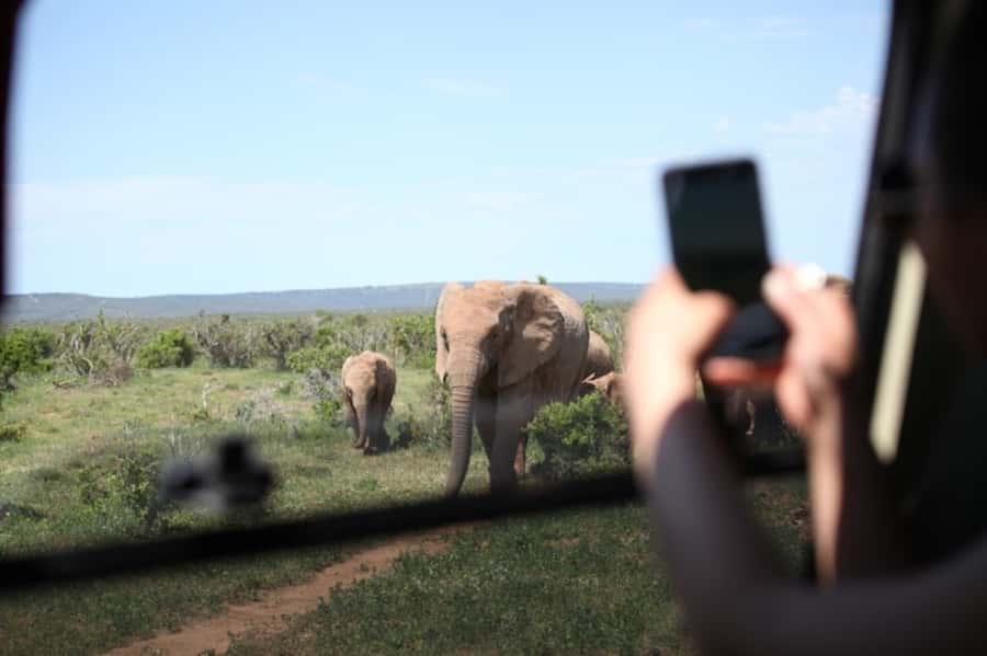 Full-Day All Inclusive Safari with Traditional Braai Lunch - Pickup and timing: how the day is structured