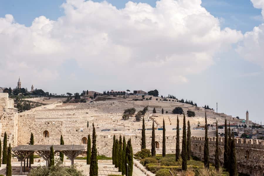 Full Day City Tour of Jerusalem - Western Wall Area and the Old City First Walk: What You’ll Actually See