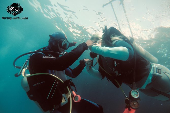 Full day diving with private guide, lunch drinks transportation - Key points that make this a smart Hurghada choice