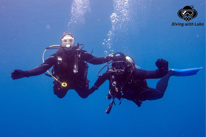 Full day diving with private guide, lunch drinks transportation - Lunch with drinks between sessions (and yes, vegans get real options)