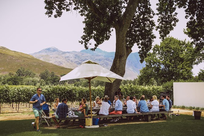 Full-Day Franschhoek Hop On Hop Off Wine Tram Tour from Cape Town - Stop-by-Stop Vibe: What Each Estate Adds