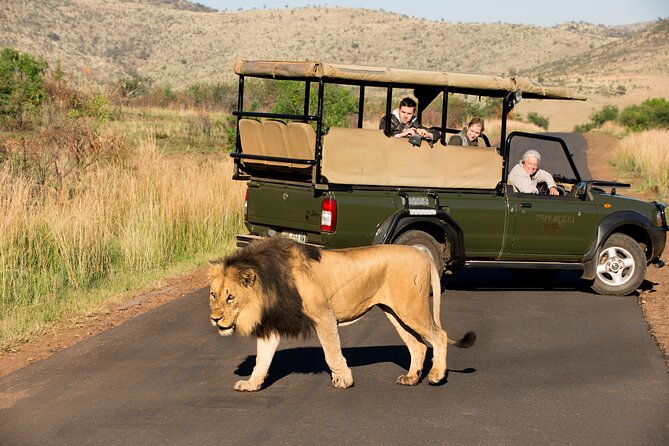 Full Day Pilanesberg Experience in Open Vehicle - Price and Value: Is $137.74 a Good Deal?