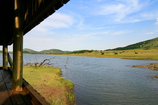 Full Day Pilanesberg Experience in Open Vehicle - Heat-of-the-Day Lunch at a Rest Camp