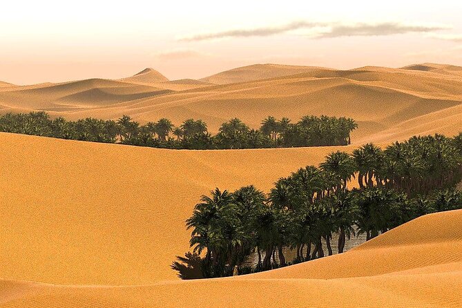Full-Day Private Wahiba Sands Desert and Wadi Bani Khalid Tour - Camel ride and dune bashing: what’s included, what costs extra