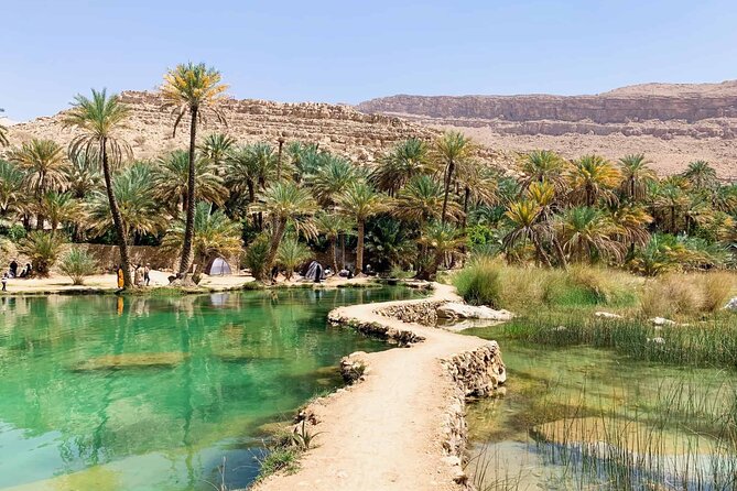 Full-Day Private Wahiba Sands Desert and Wadi Bani Khalid Tour - How the 8-hour day really works (and why private matters)