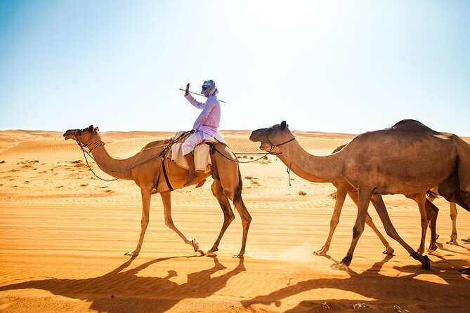 Full-Day Private Wahiba Sands Desert and Wadi Bani Khalid Tour - Who should book this tour, and who might not love it
