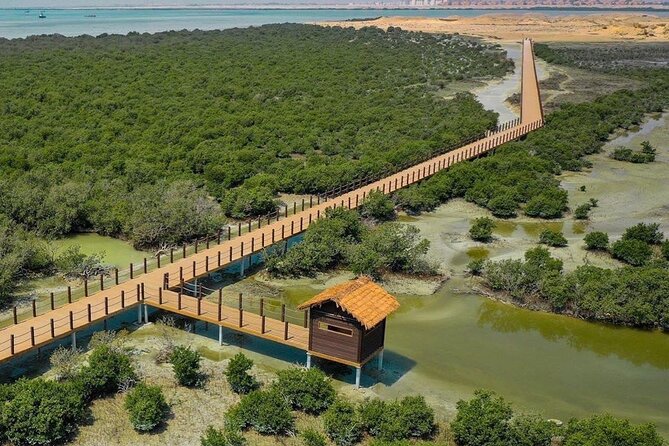 Full Day Tour to Qatar North And West With Pickup From Doha - Richard Serra’s EAST-WEST / WEST-EAST in Brouq Nature Reserve