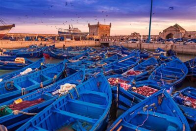 Full Day Trip To Essaouira From Marrakech - The 3-Hour Atlantic Drive: Break Stops That Actually Help