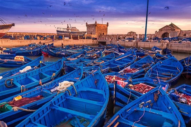 Full Day Trip To Essaouira From Marrakech - The 3-Hour Atlantic Drive: Break Stops That Actually Help