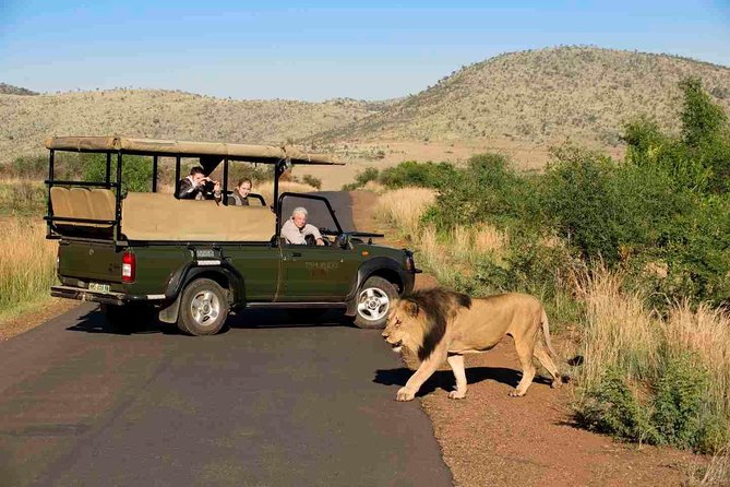 Full Day Ultimate Pilanesberg National Park Safari from Johannesburg or Pretoria - Afternoon drive before sunset: less frantic, sometimes more rewarding