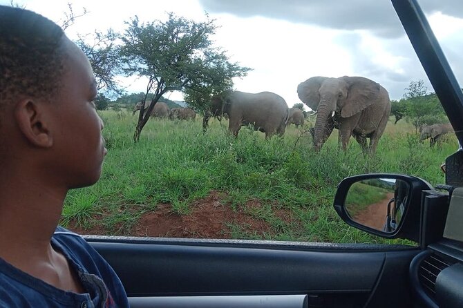 Full Day Ultimate Pilanesberg National Park Safari from Johannesburg or Pretoria - Getting to the park: early start, long-but-doable drive