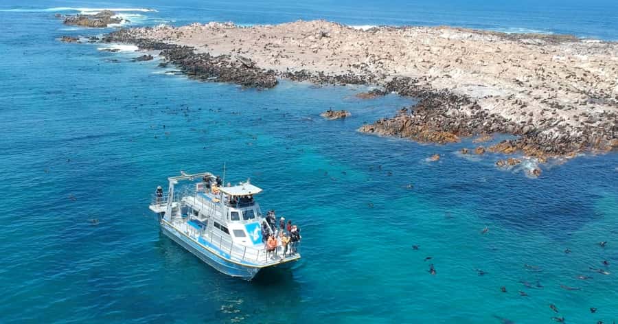 Gansbaai: Marine Big 5 Boat tour - The boat ride: comfort, safety gear, and how the crew finds sightings