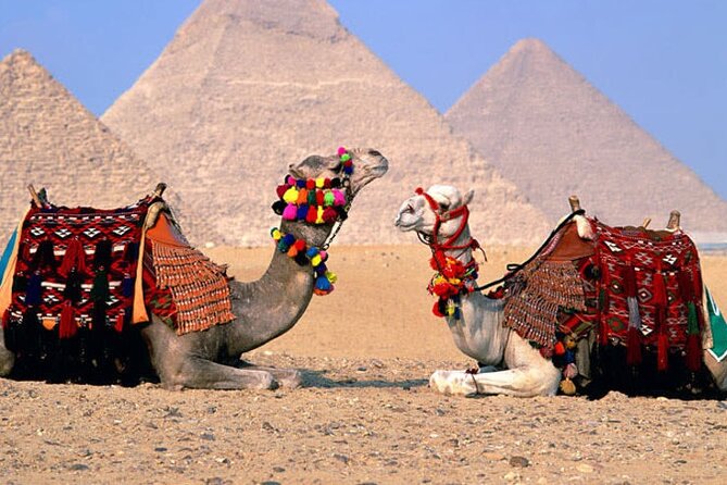 Giza Pyramids, Sphinx, Memphis, Saqqara, with private tour guide - A 7–8 hour plan: how to stay comfortable and focused