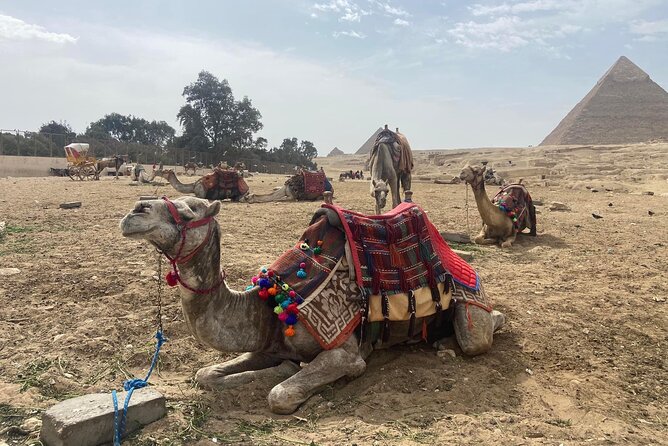 Giza Pyramids,Sphinx,Camel Ride,ATV Bike,Shopping, Dinner cruise - Shopping Tour: How to Keep It from Eating Your Time