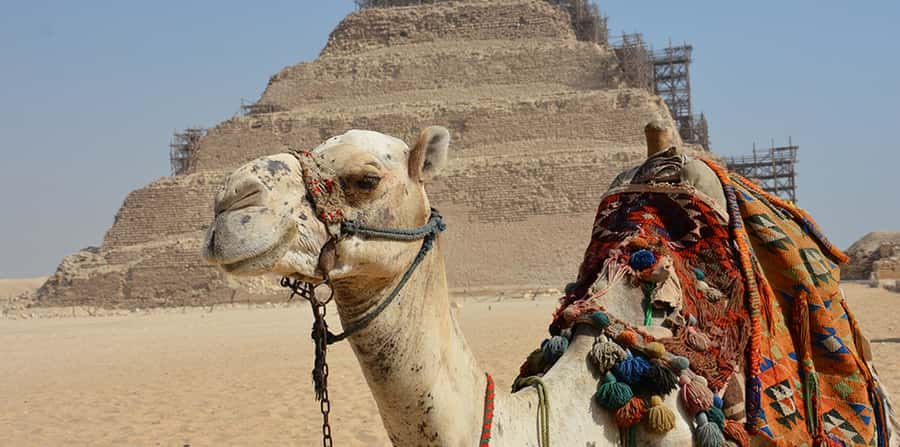 Giza: Sakkara, Memphis & Dahshur (Pyramid & Felucca Options) - Shopping Stops: Papyrus, Oils, Bazaar, and How to Keep Control