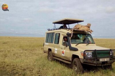 Group Safari 7 Days in Tanzania's Main Parks - Day 2 at Lake Manyara: biodiversity safari in a single park day