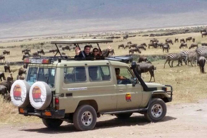 Group Safari 7 Days in Tanzania's Main Parks - Day 4 Serengeti for Migration Moments: the main stage of Tanzania