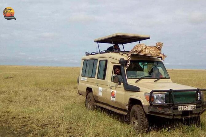 Group Safari 7 Days in Tanzania's Main Parks - Day 2 at Lake Manyara: biodiversity safari in a single park day