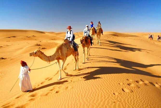 Half Day Desert Safari with Sand Boarding and Camel Ride - Food, culture, and entertainment in a short window