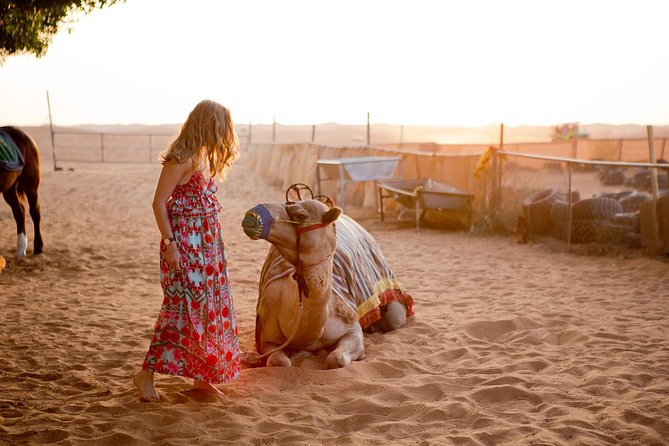 Half-Day Dubai Desert Safari With 7 Live Shows and BBQ Dinner - Dune Bashing and Sandboarding: The High-Energy Core