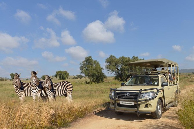 Half Day Lion Park tour from Johannesburg or Pretoria - Johannesburg Lion Park Without the Drive Yourself