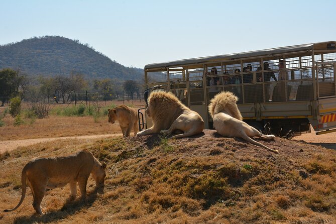 Half Day Lion Park tour from Johannesburg or Pretoria - Wetlands Restaurant and 5 Dome: Food and Shopping on Your Terms