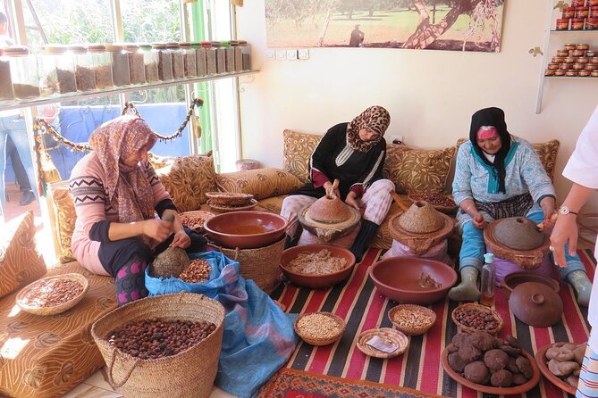 Half Day Tour From Marrakech to the Atlas Mountains & Ourika Valley - Price and value: what $48-ish buys you in real life