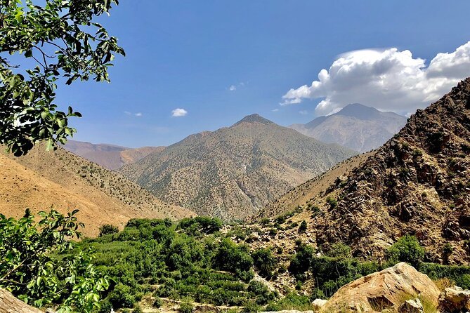 Half Day Tour From Marrakech to the Atlas Mountains & Ourika Valley - Ourika Valley by the river: tea, Berber breakfast, and a breather from the road