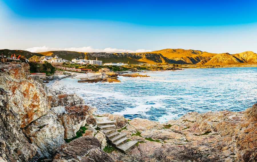 Hermanus: Whale and Dolphin Watching Boat Trip - Price and value: is $98 a fair deal for Hermanus?