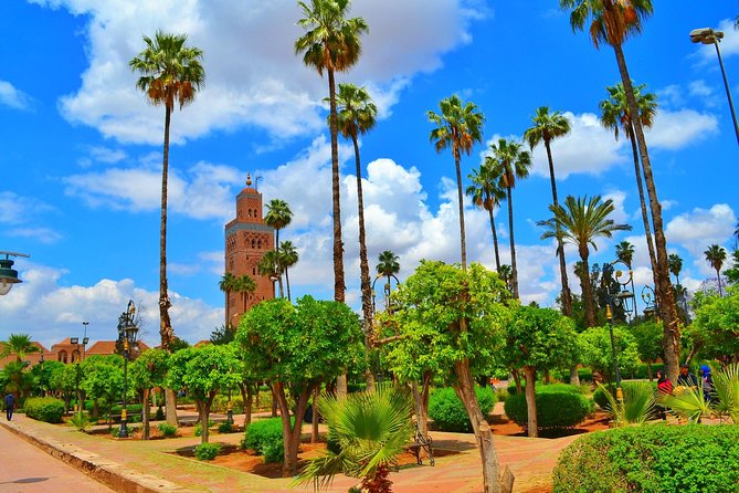 Highlights of Marrakech: Private Half-Day City Tour - Medersa Ben Youssef: architecture time with ticket access