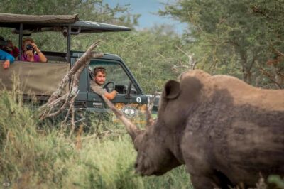 Hluhluwe-Imfolozi: Big 5 Full or Half-Day Safari - Small-Group Safari Comfort: Water Coolers, Blankets, and a Ranger Who Works the Park