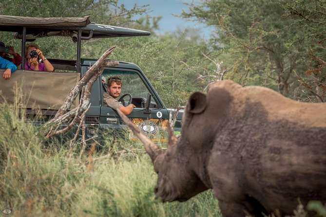 Hluhluwe-Imfolozi Park Full Day Big 5 Safari Tour - Key highlights I’d plan around