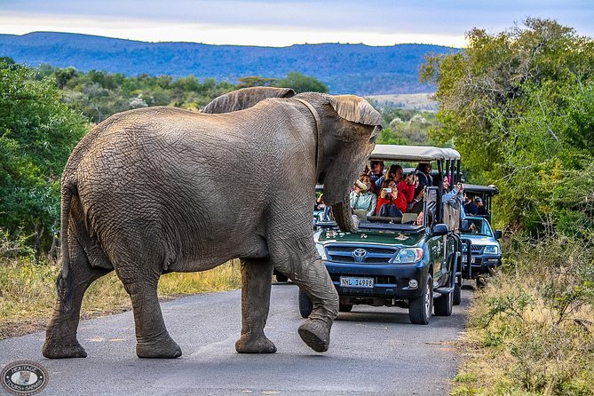 Hluhluwe-Imfolozi Park Full Day Big 5 Safari Tour - Getting to Nyalazi Gate: transport that keeps the day smooth