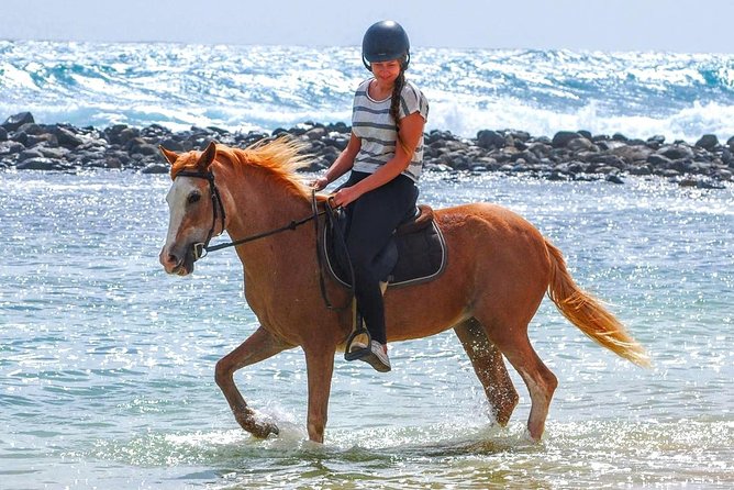 Horse Riding in Sal Island - Cabo Verde - Quick hits on this Sal horse ride