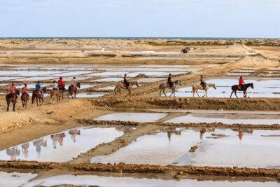 Horse Riding in Sal Island - Cabo Verde - Price and What You’re Actually Paying for ($60.25)