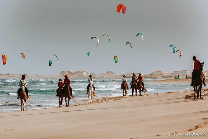 Horse Riding in Sal Island - Cabo Verde - Kite Beach Trek for 1.5 and 2 Hours (and Faster Pace for Some)
