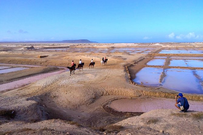 Horse Riding in Sal Island - Cabo Verde - Safety, Horse Matching, and the One Thing to Watch