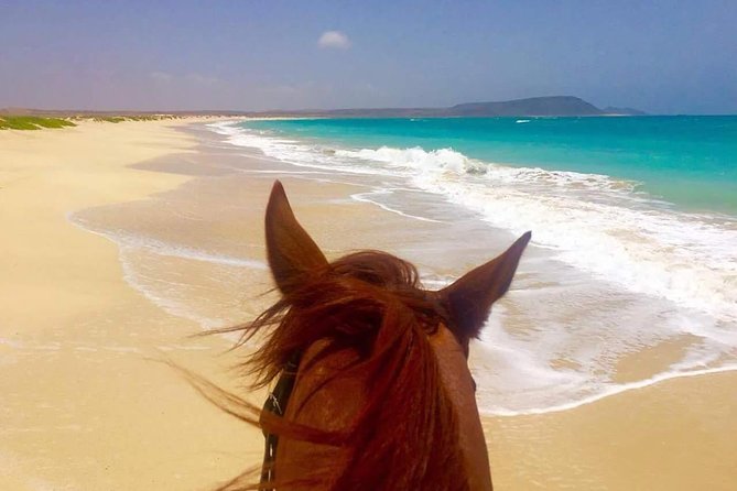 Horse Riding in Sal Island - Cabo Verde - Practicalities in Santa Maria: Transport, Photos, and Getting Back