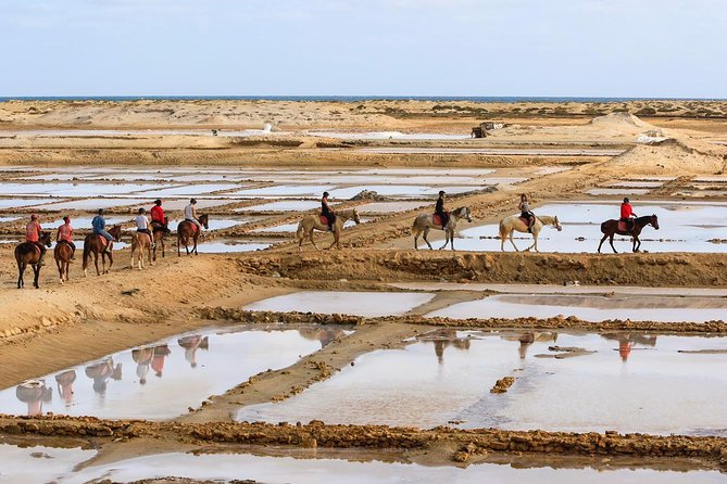 Horse Riding in Sal Island - Cabo Verde - Price and What You’re Actually Paying for ($60.25)