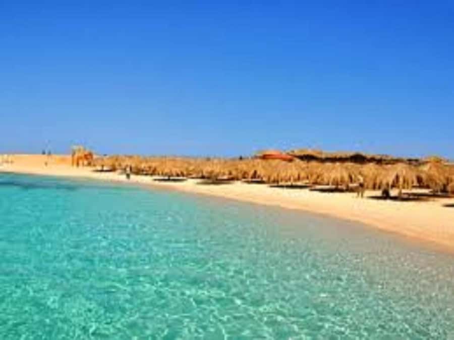 Hurghada: 3-Island Speedboat, Dolphin Watching & Snorkeling - What you get for $233 per group up to 2