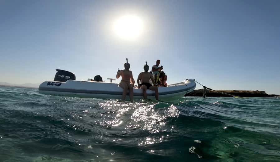 Hurghada: 3-Island Speedboat, Dolphin Watching & Snorkeling - Giftun Island dolphin watching with an 80% odds mindset