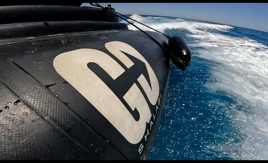 Hurghada: 3-Island Speedboat, Dolphin Watching & Snorkeling - Optional 5-minute flying: the thrill add-on with a view payoff