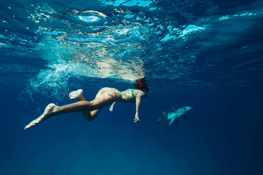 Hurghada: All-Inclusive Elite VIP Dolphin House & Massage - Dolphin House: wild dolphins, 20–25 minutes, and why swimming isn’t guaranteed